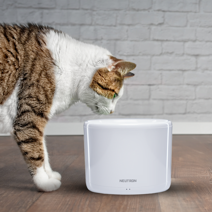 Neutron Ultraviyole Temizleyen Evcil Hayvan Akıllı Su Kabı - 2
