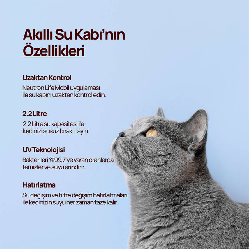 Neutron Ultraviyole Temizleyen Evcil Hayvan Akıllı Su Kabı - 3