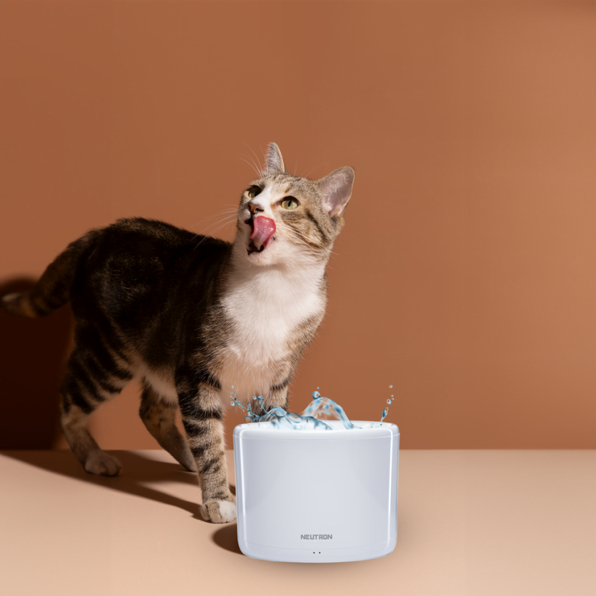 Neutron Ultraviyole Temizleyen Evcil Hayvan Akıllı Su Kabı - 6